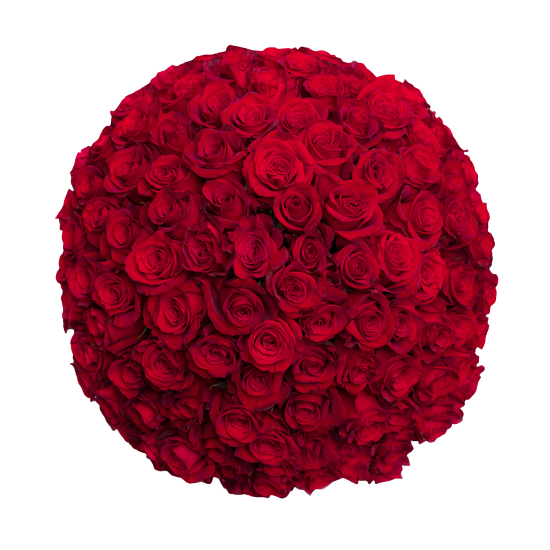 Dosen Red Roses in Brooklyn, NY | LV Flower Events